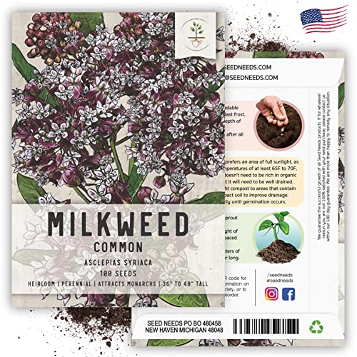 Image of Seed Needs Pink Common Milkweed Seeds for Monarch Butterflies 1 Pack