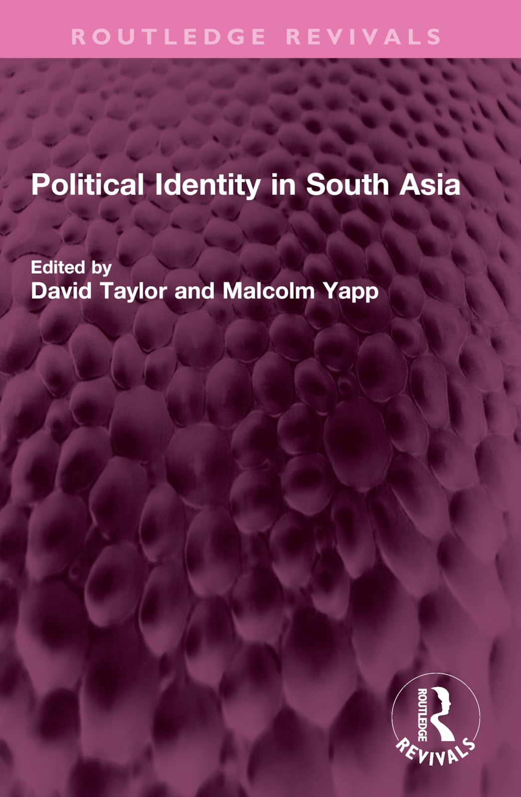 Political Identity in South Asia (Routledge Revivals)