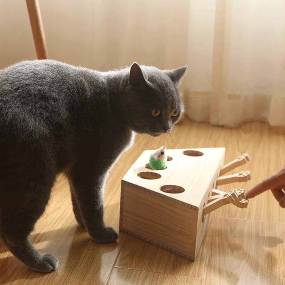 Lustiges Katzenspielzeug mit Fünf Löchern Verbessert Interaktivität und Leicht zu Verstauen für Spielerisches Kätzchen Jagdspiel zu Hause