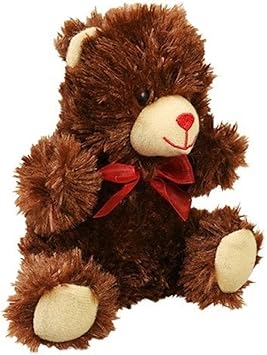 oso de peluche y chocolates