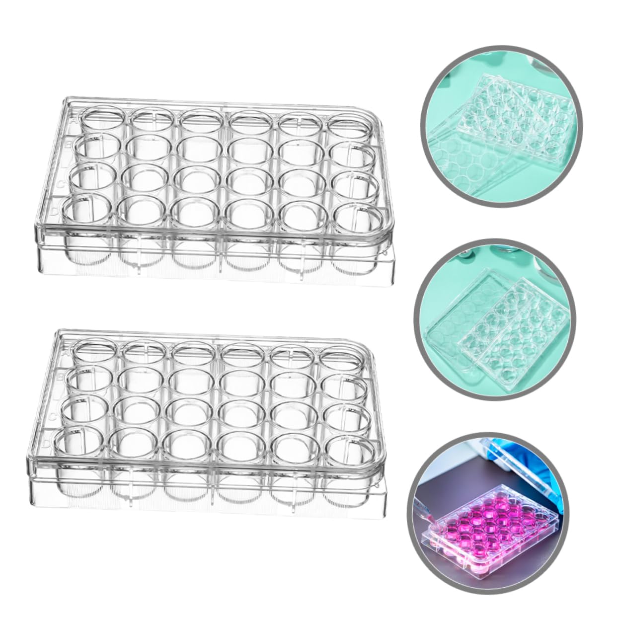 SOLUSTRE 10pezzi Piastra Per Coltura Cellulare Per Laboratorio Progettata Per Analisi Campioni e Operazioni Rapide Con Design Versatile e Risparmio Di Spazio