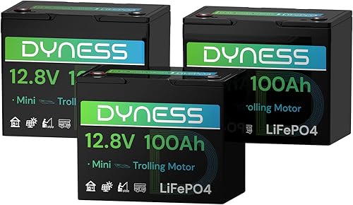 Miniatura 11 de Batería LiFePO4 de 24 V 100 Ah, batería de litio de 25.6 V con potencia de 2560 Wh, BMS integrado de 100 A con protección a baja temperatura,