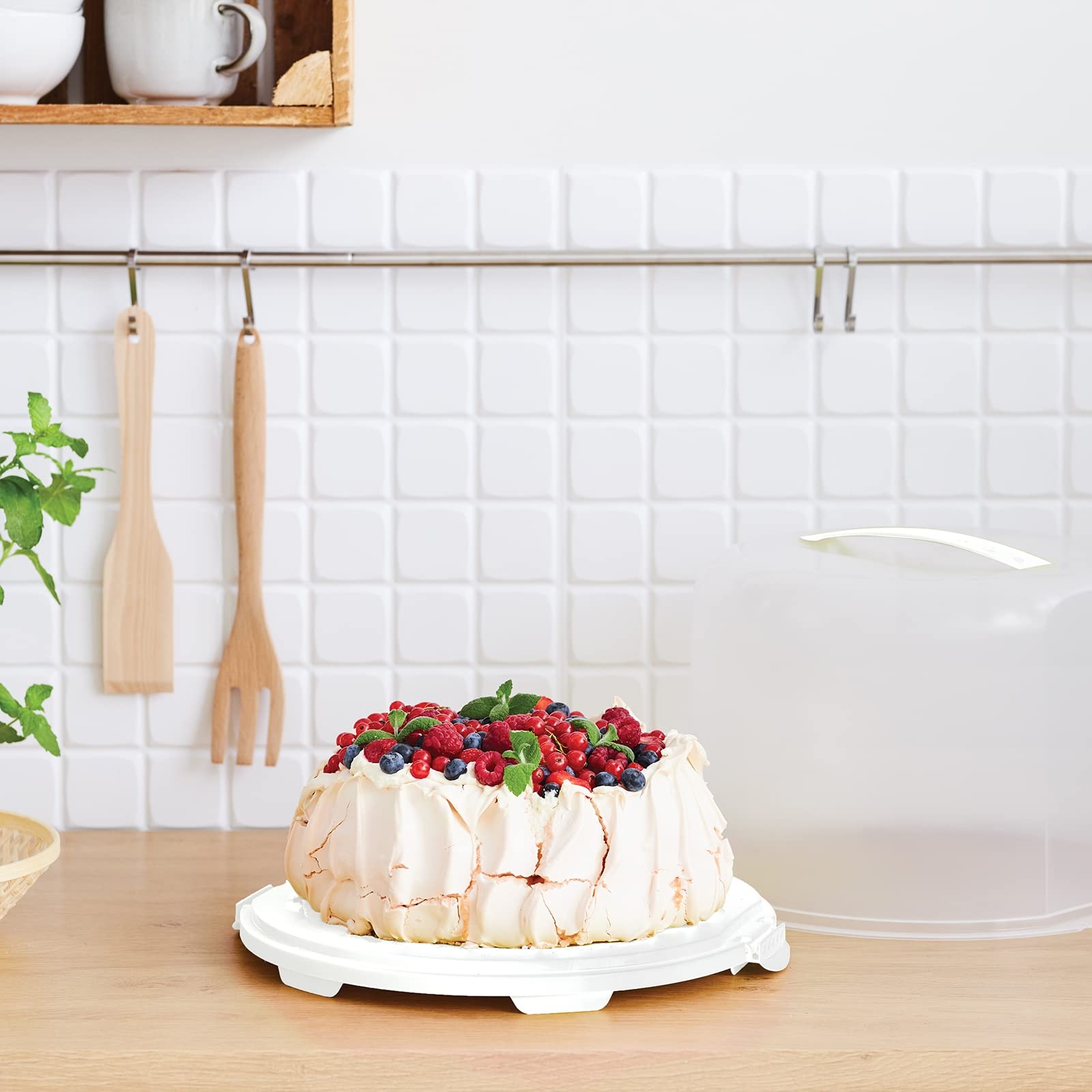 Rotho Fresh Cake Dome XL, plastica alimentare (PP), senza BPA, bianco/trasparente, (35,5 x 34,5 x 26 cm)