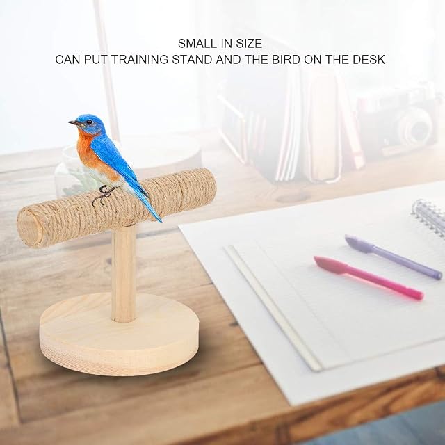 Foto 6 de 8 de SALUTUYA Soporte para Loros y Aves, Zona de Juegos Duradera, Percha de Entrenamiento para P¨¢jaros