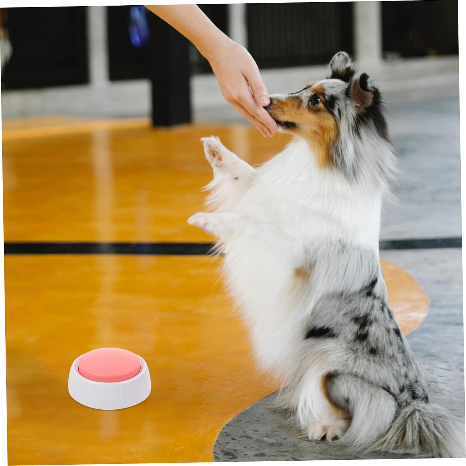1pc Pet Recordable Talking Button Interactive Dog Training Tool for Communication Pets Re-recordable Feature for Owners Pink