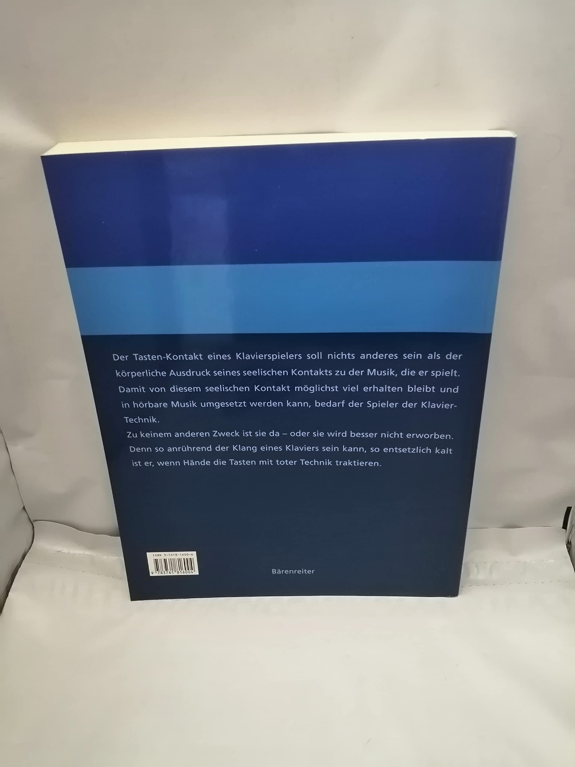 Technik des Klavierspiels: Ein Handbuch für Pianisten