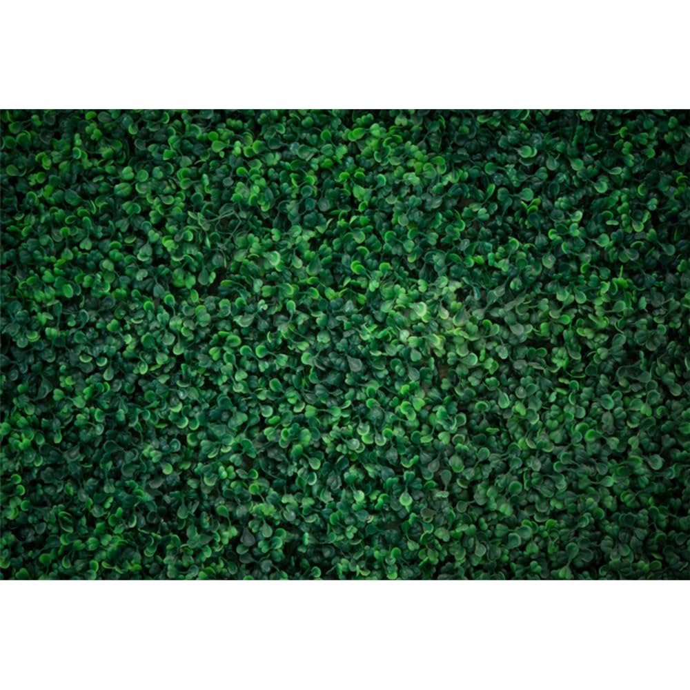 Sfondo fotografico per bambini, 3,6 x 2,5 m, verde erba parete fotografica, scatola fotografica per ragazze, ragazzi, neonati, compleanni, matrimoni, feste, ritratti, studi fotografici