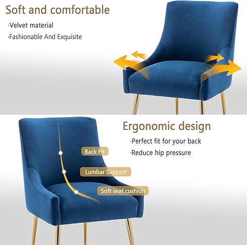 Miniatura 6 de Juego de 2 sillas de comedor, modernas sillas de comedor de terciopelo con patas doradas, sillas decorativas tapizadas para sala de estar, Azul