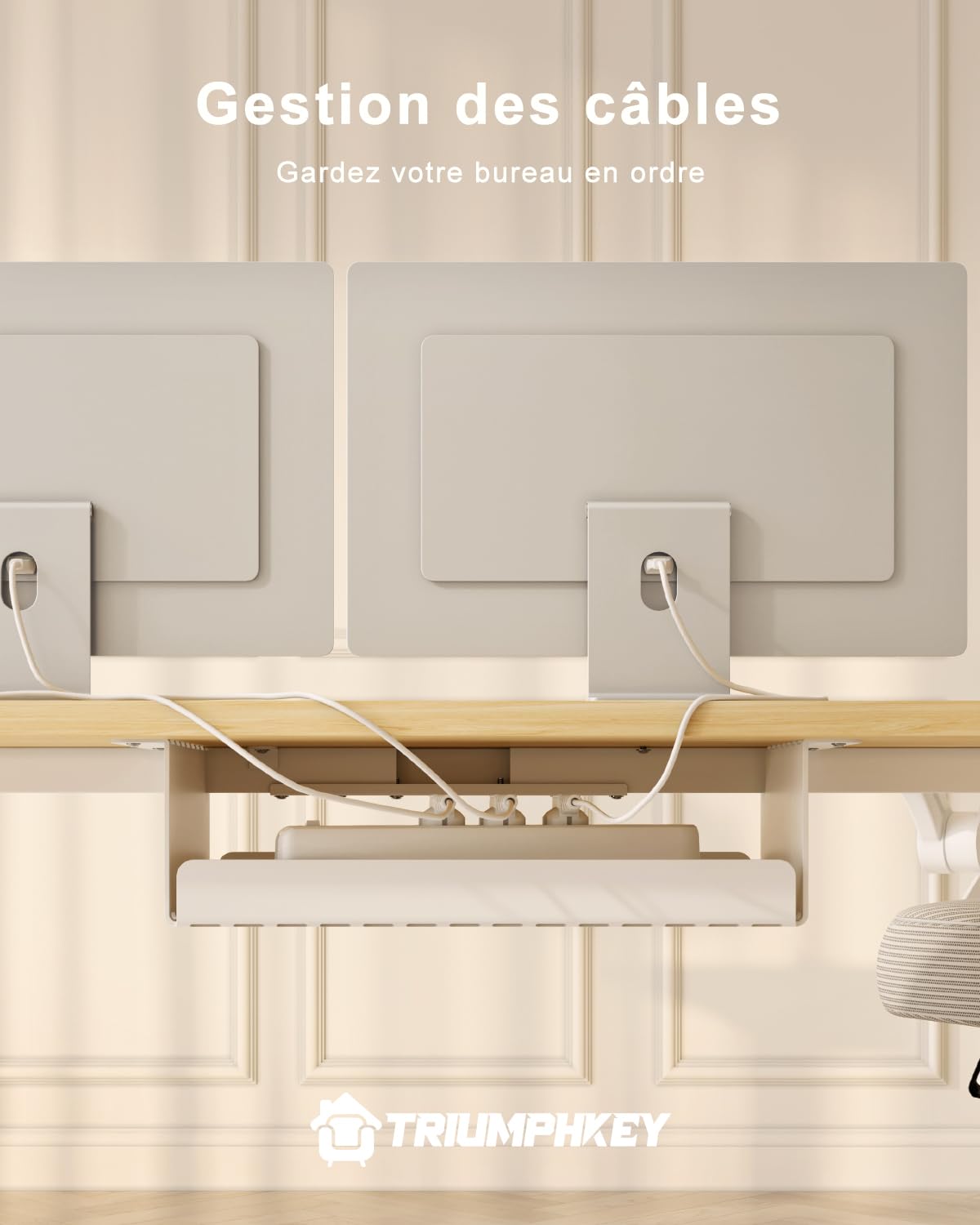 TRIUMPHKEY Bureau Réglable en Hauteur 160x80 cm, avec Rappel de Sédentarité et 3 Mémoires, Port USB-A, Système Anti-Collision, Bureau de Télétravail, Beige