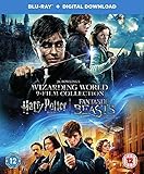 J.K. Rowling's Wizarding World 9-Film Collection (Harry Potter & Fantastic Beasts) [Digital Codes...