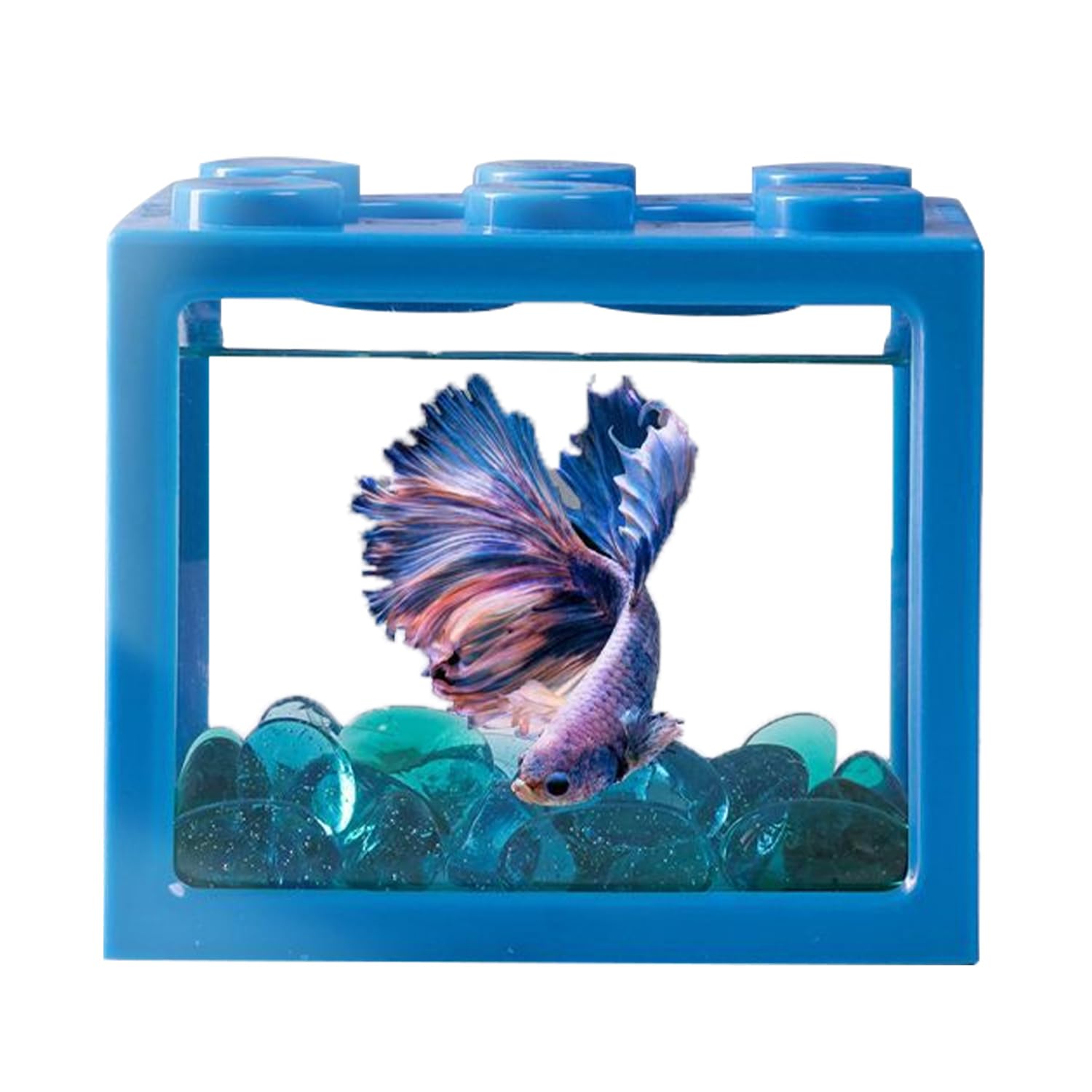 Tomotato Tanque De Peces Betta Pequeño, Mini Caja De Peces De Plástico Diseño De Recorte Transparente, Acuario De Tanque De Peces En Miniatura Portátil A Prueba De Explosiones De Acrílico(D)