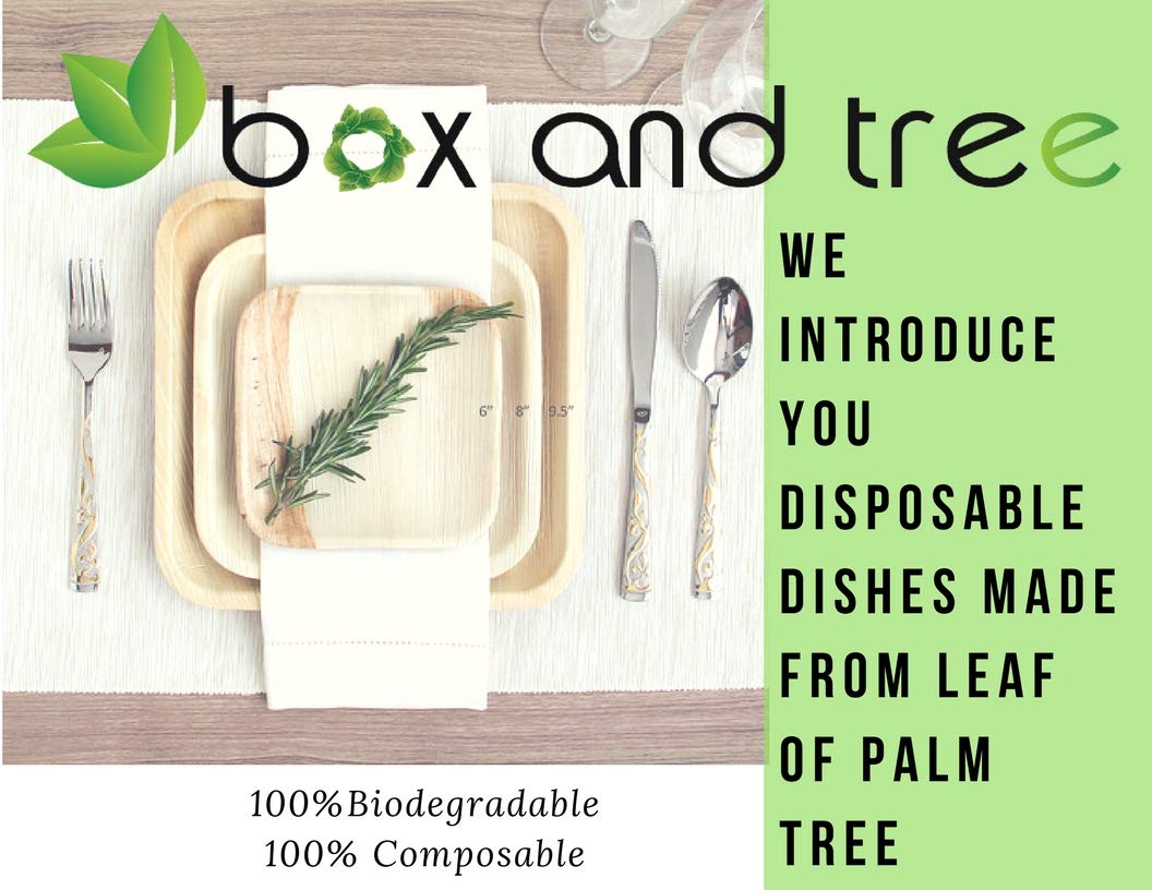 ECO SOUL Lot De 200 Assiettes Jetables Carrées En Feuille De Palmier 100 % Compostables De 25,4 Cm - Assiettes Jetables Carrées En Bambou Respectueuses De L'environnement