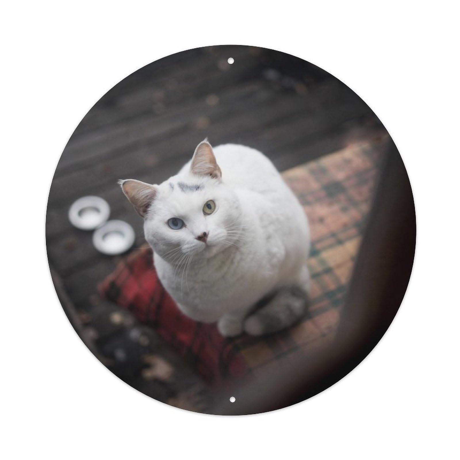 Serenity Pet Poster White Cat Tea Room Metal Tin Sign