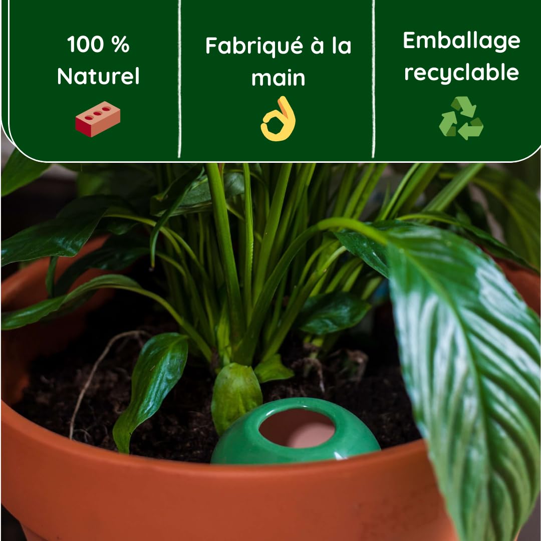 3 Oyas a Planter en Terre Cuite de 300 ML en Couleur - avec Couvercle- Goutte a Goutte pour Plante d'interieur - ollas (Vert)
