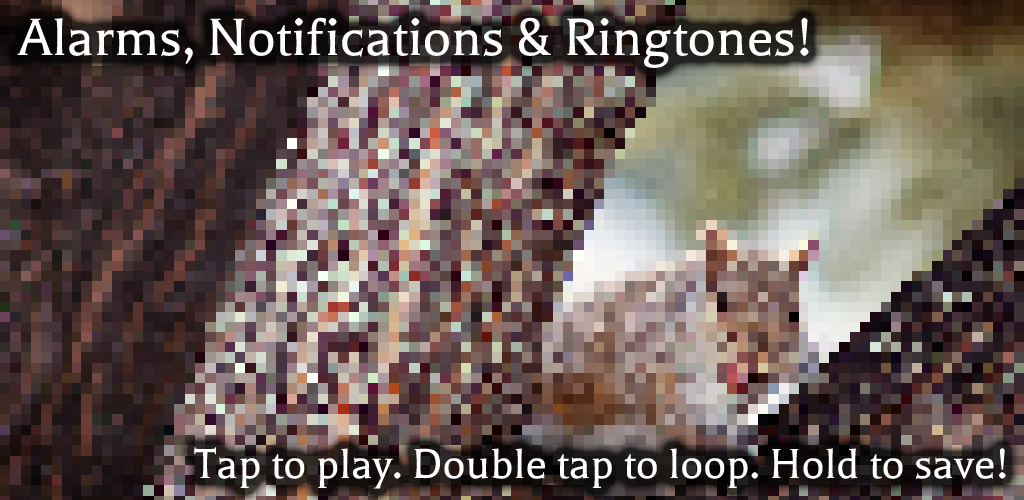 Squirrel Sounds and RingtonesAmazon.co.ukAppstore for Android