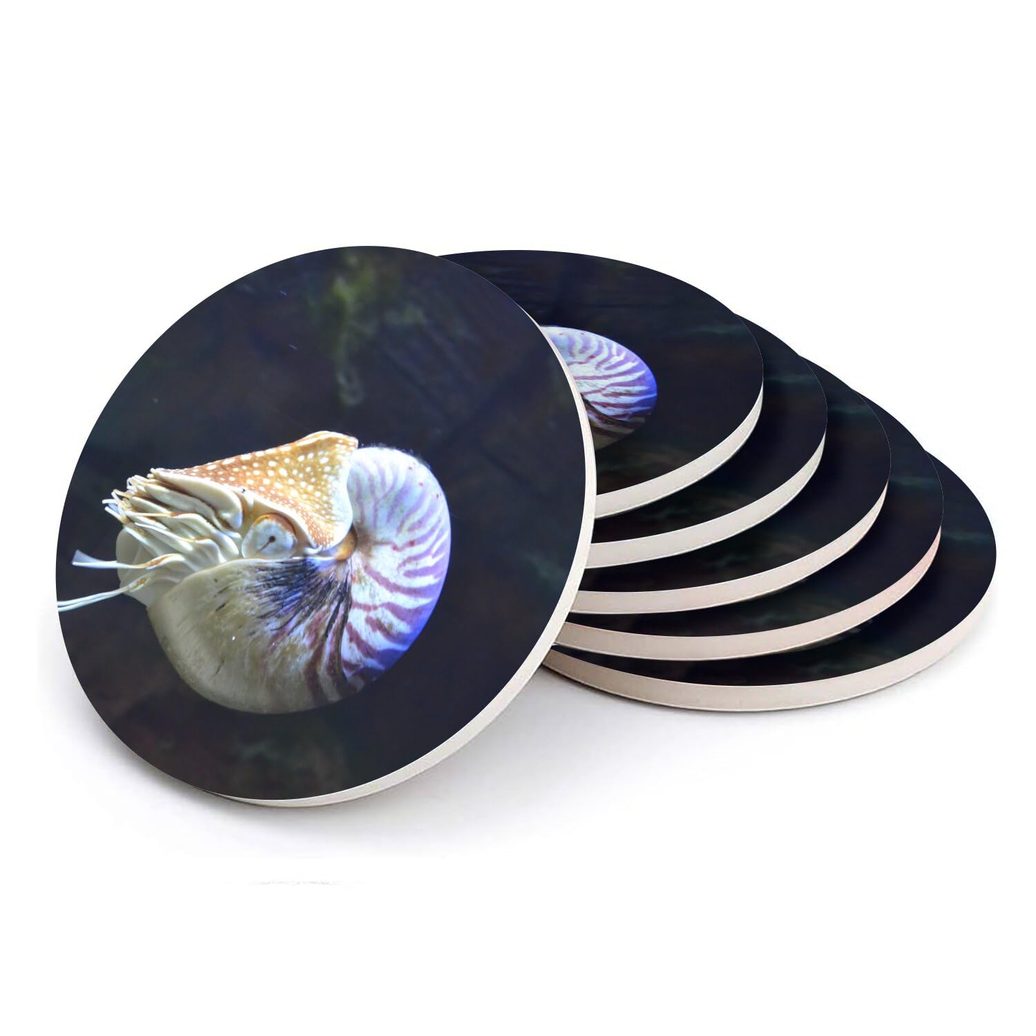 Dessous de verre céramique ammonite anti-tache protection table basse lot de 6