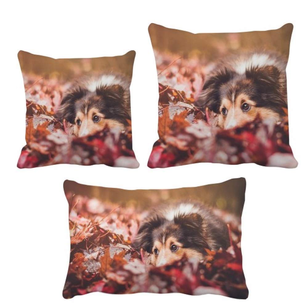Housse de coussin photo de chien le cadeau ideal pour celebrer votre animal domestique