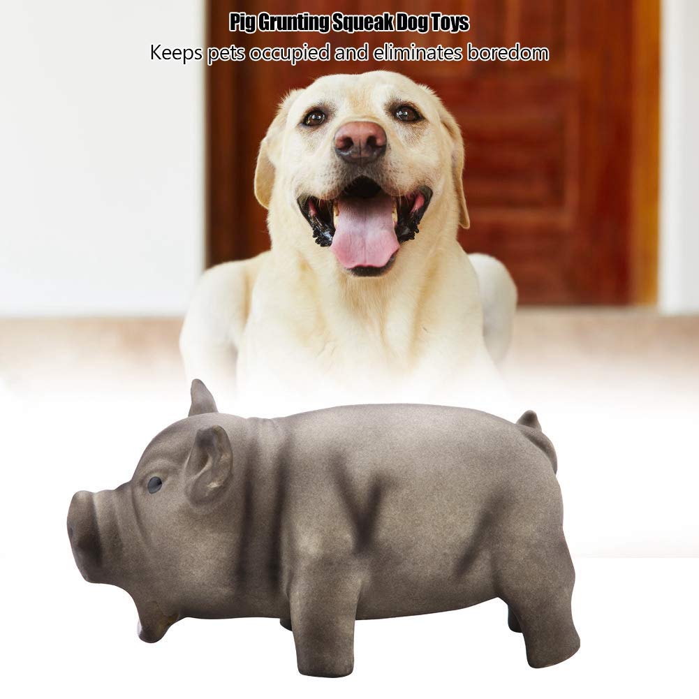 Huisdier latex grommend varken hondenspeelgoed schattig piepend hondenspeelgoed puppy kauwspeelgoed mooie diervorm huisdier molair speelgoed tanden slijpen speelgoed voor kleine middelgrote honden