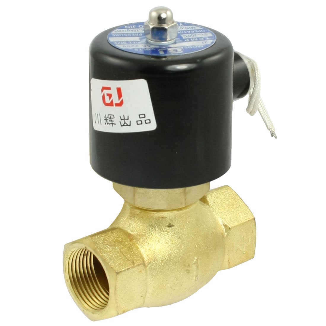 Vanne de commande solénoïde de vapeur d'eau laiton PT 1 pouce 220V