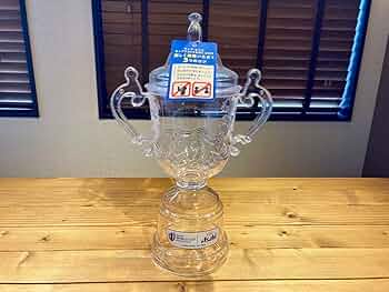 61DeETorgjL._AC_UF350,