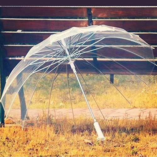 Parapluie rétro transparent à 16 os et manche longue courbé
