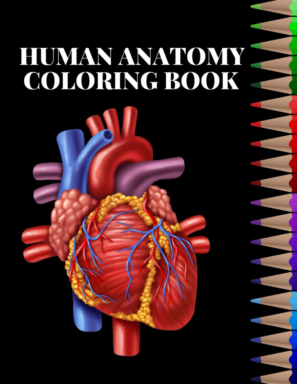 Human anatomy coloring book: (Kaplan Test Prep) 8.5 x 11 inches 93 Pages