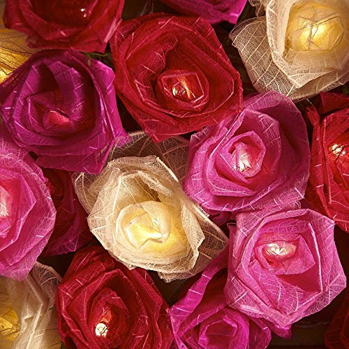 Blaze On Cabbage Rose Fairy Lights (Pink Tones) – 20 Warm White LED Lights – Handcrafted Roses Created from Real Rubber Tree Leaves – 3-Pin UK Mains Plug – Indoor Decorative String Lights