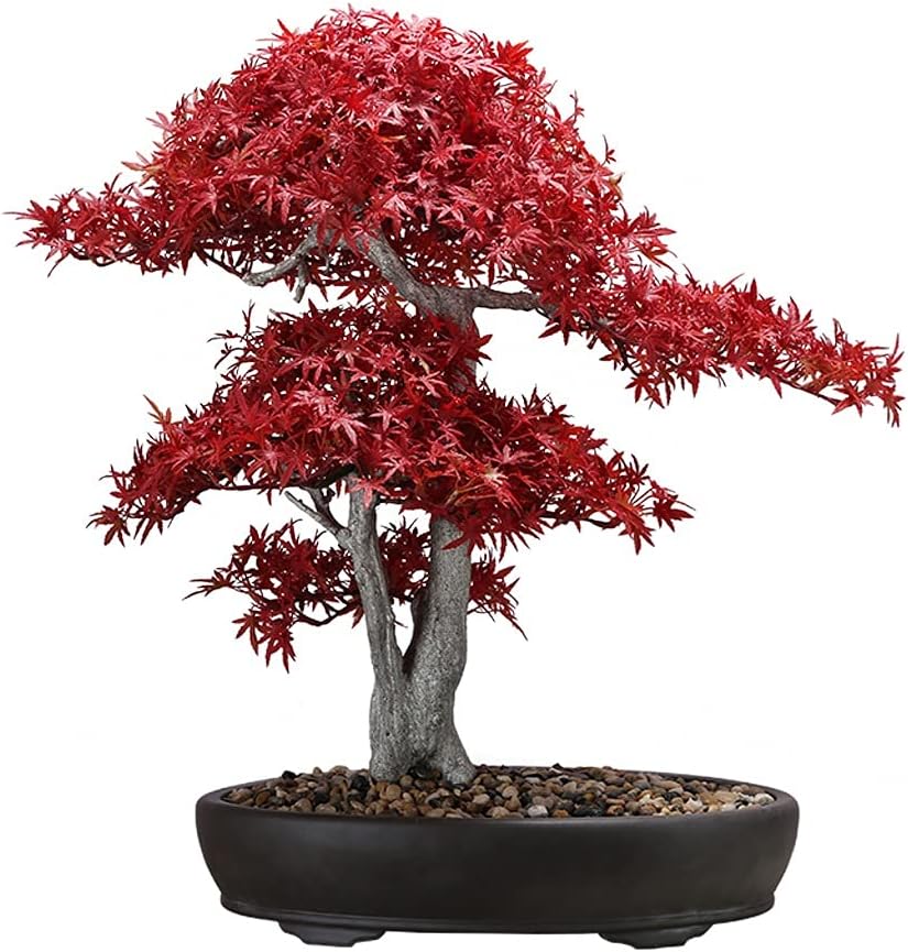 Artificial Bonsai Tree Artificial Plant Simulation Red Maple Bonsai Restaurant Japanese-style Fake Plant Decoration Cuisine Sushi Restaurant Tea Room Decoration Fake Plant Decoration