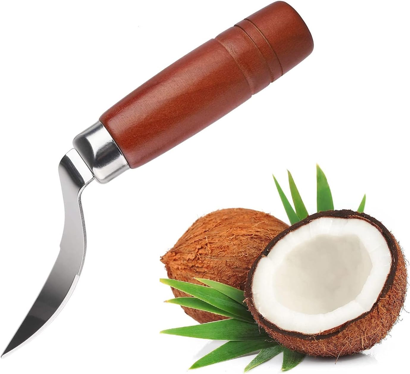 EzLife Coconut Tool Coconut Shell Remover Durable Wooden Handle Stainless Steel Coconut Opener Scraper Knife Kitchen Accessories (Stainless Steel - Pack of 1)