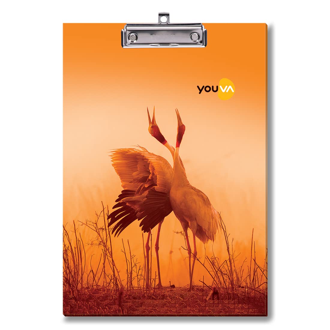 Navneet Youva Tablica do egzaminów regularnych dla studentów, tablica z klipsem, rozmiar Foolscap - 24 cm x 34,5 cm, 12 sztuk
