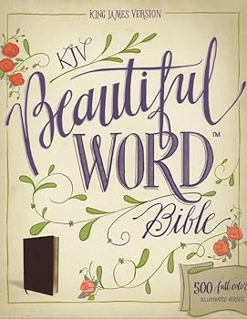 Imitation Leather KJV Beautiful Word Bible Book