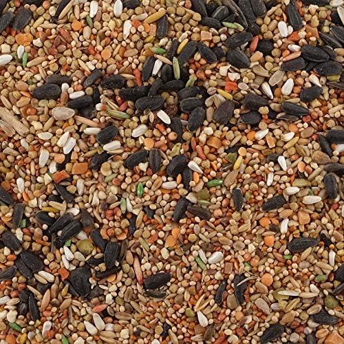 Living World Premium Mix For Cockatiels & Lovebirds, 908 g (2 lb)