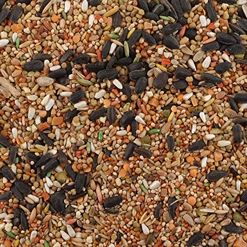 Living World Cockatiels and Lovebirds Premium Mix Handle Bag, 20-Pound - Image 4