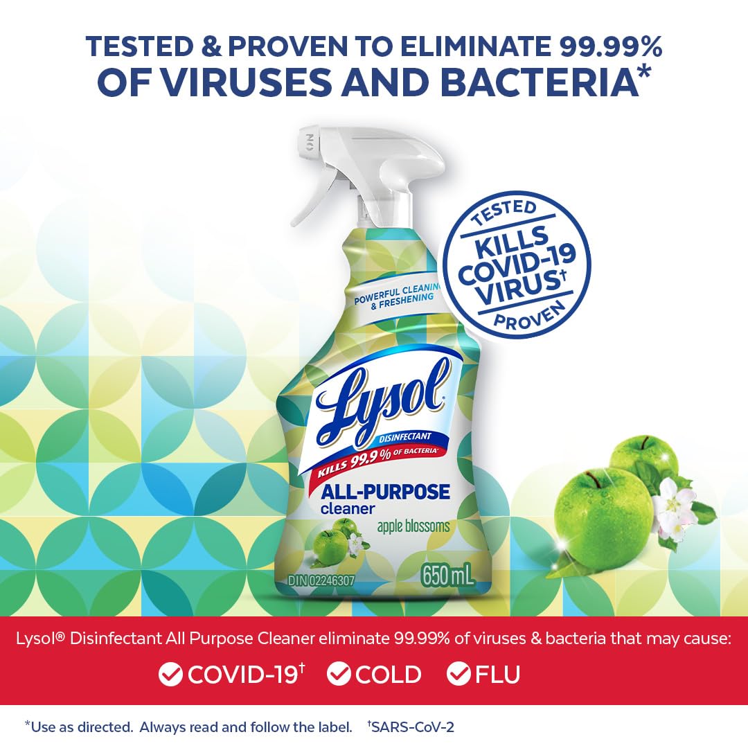LYSOL - 5