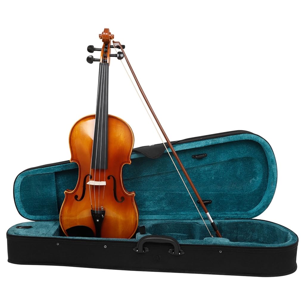 Viola in legno massello con custodia e archetto set strumento a corda per studenti