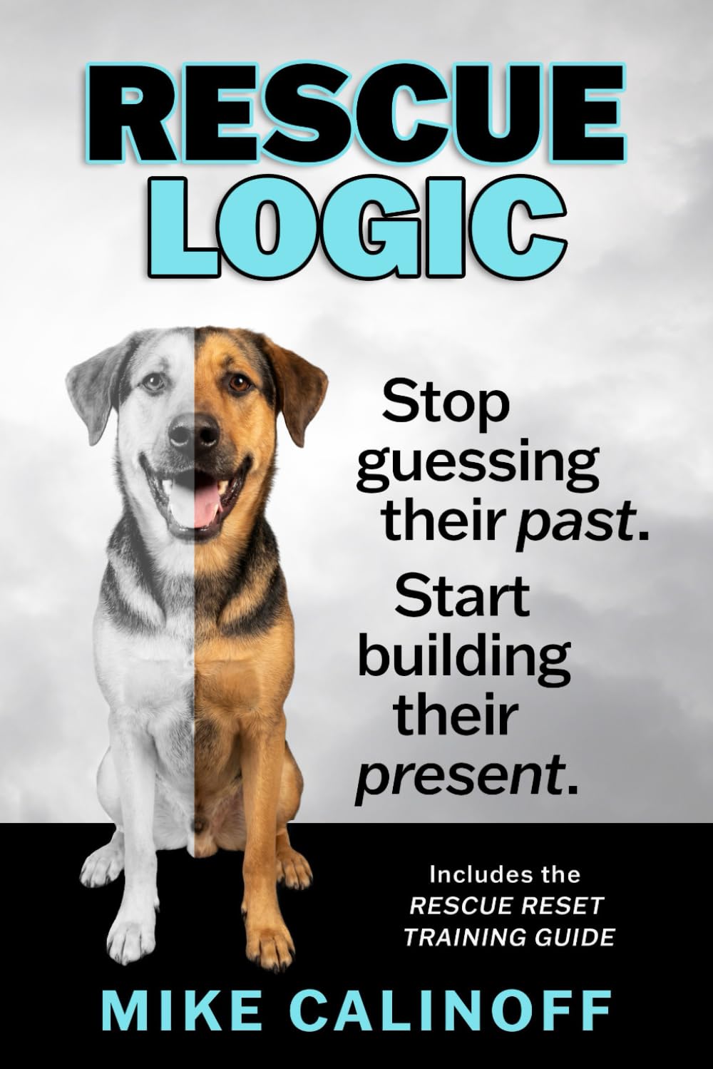 RESCUE LOGIC: Stop Guessing Their Past. Start Building Their Present.
