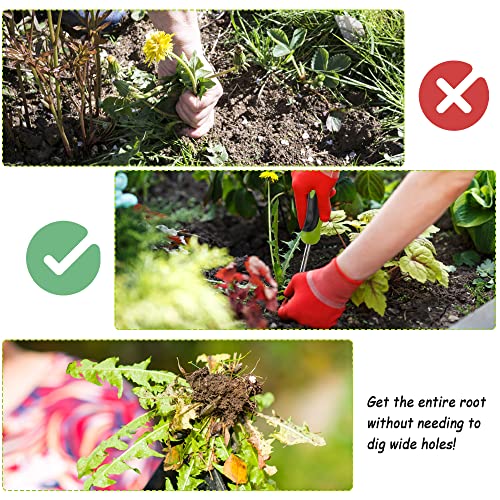 image for Ysglory Weed Puller Tool Dandelion Weeder Tool Gardening Hand Weeder T
