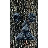 Mountain Man Tree Face (Iron Stone Moss)