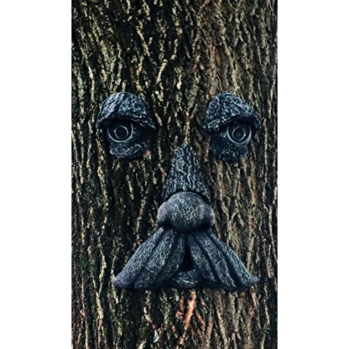 Mountain Man Tree Face (Iron Stone Moss) #TOP2