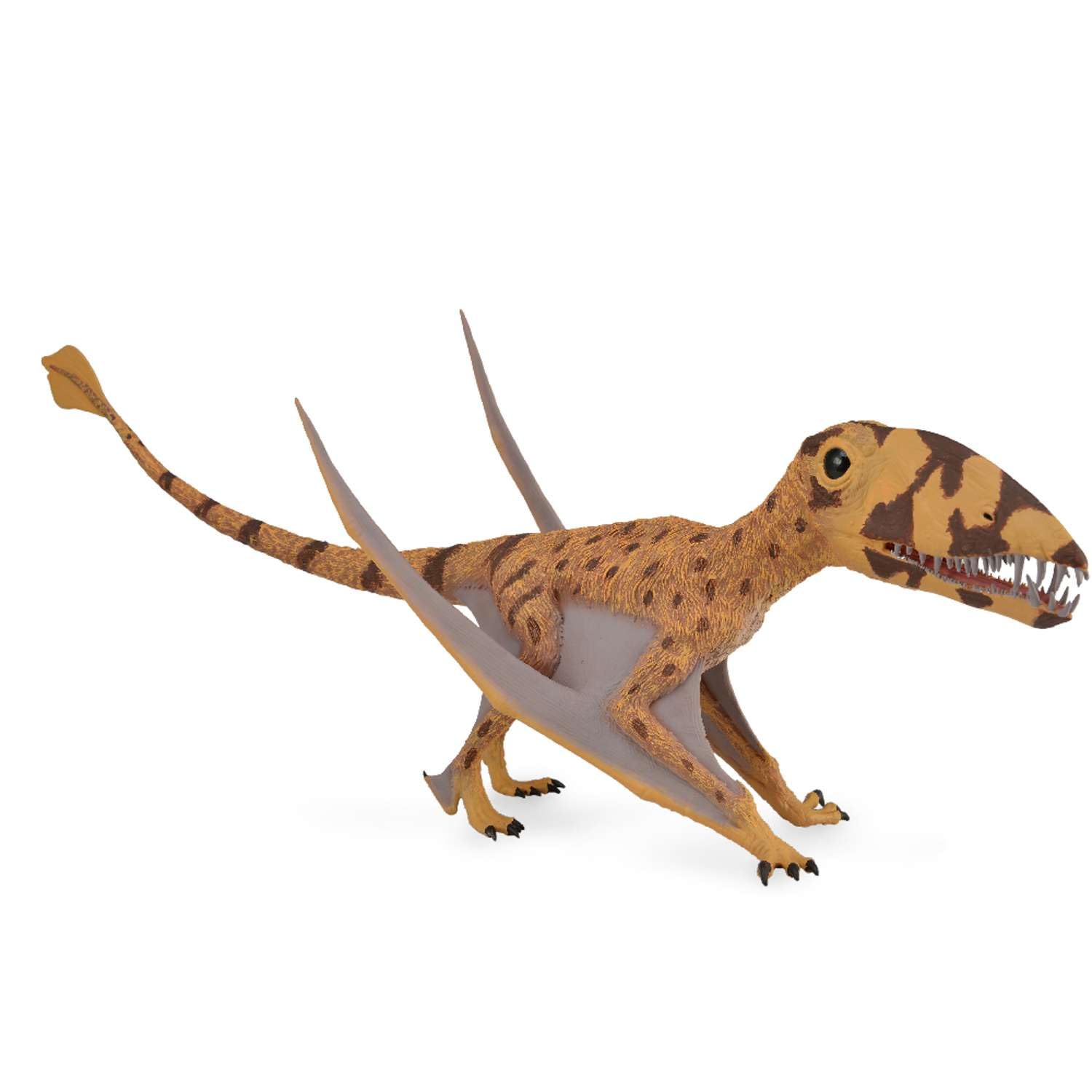 Figurka - Dinosaur dimorphodon - CollectA Deluxe 88798