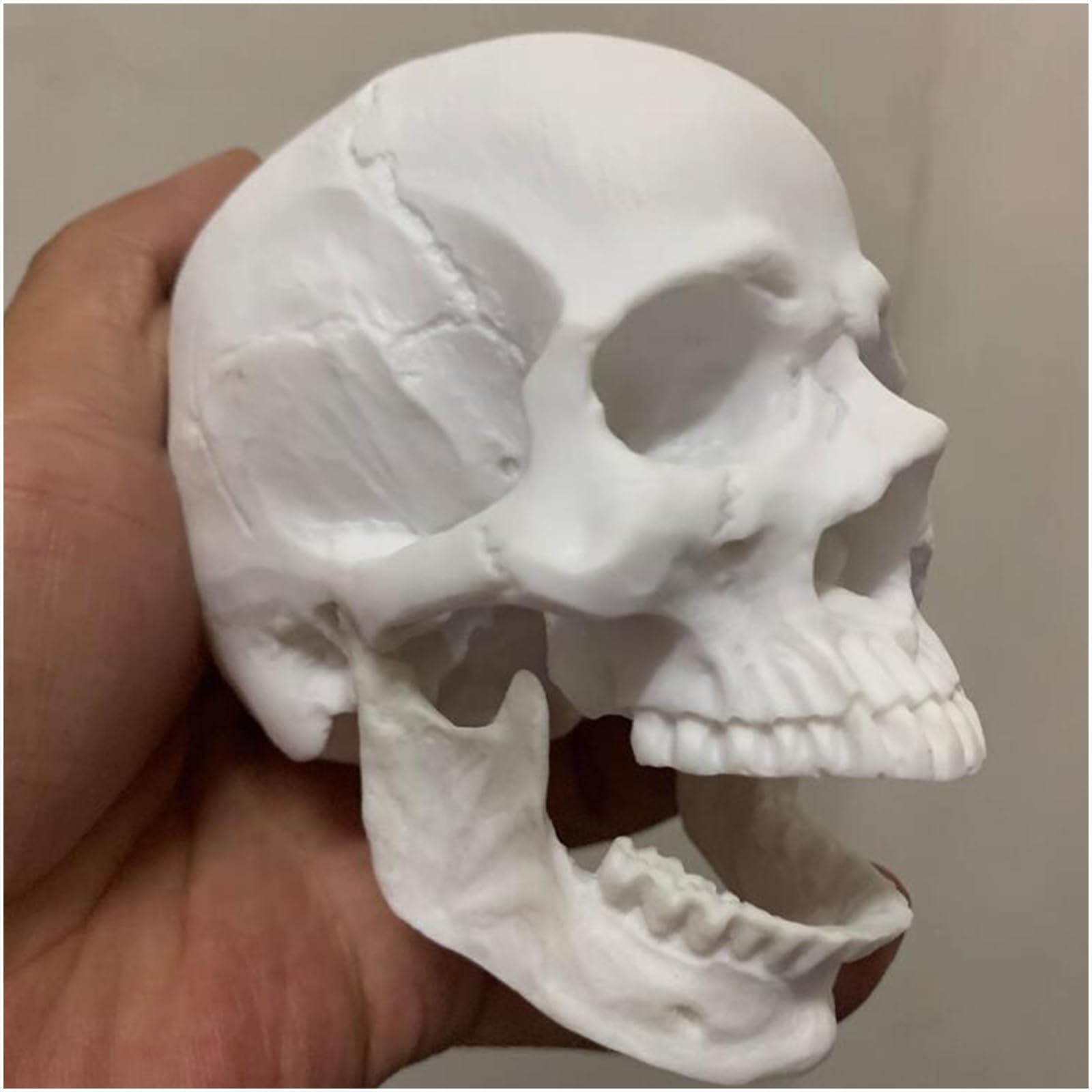 Modello Anatomico In Resina Medica Del Cranio Umano – Modello Realistico Della Testa Del Cranio Umano, Strumento Di Insegnamento Di Alta Precisione Di Anatomia Per Halloween - Foto 4