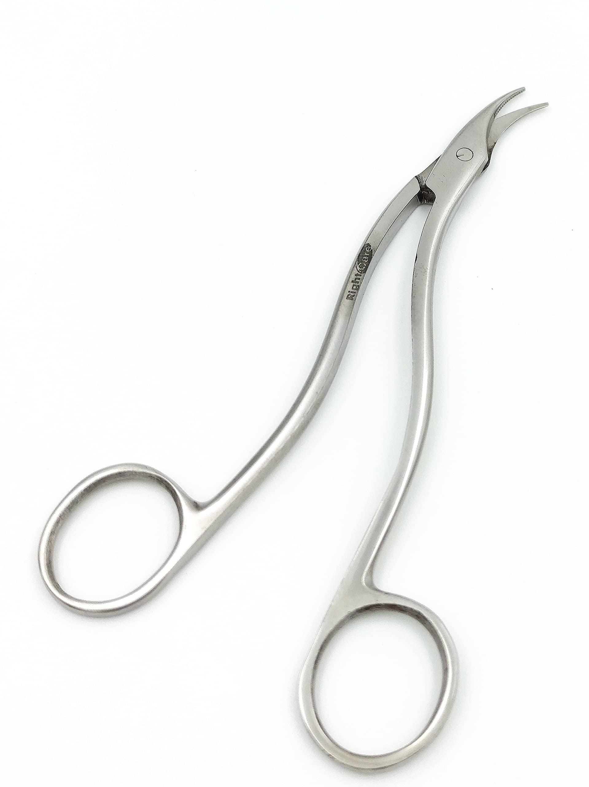 Rightcare Stainless Steel Delex Quality stitch/Suture Cutting Scissor 6" (Pack of 1) (B09DVXCFLV) Amazon Price History, Amazon Price Tracker