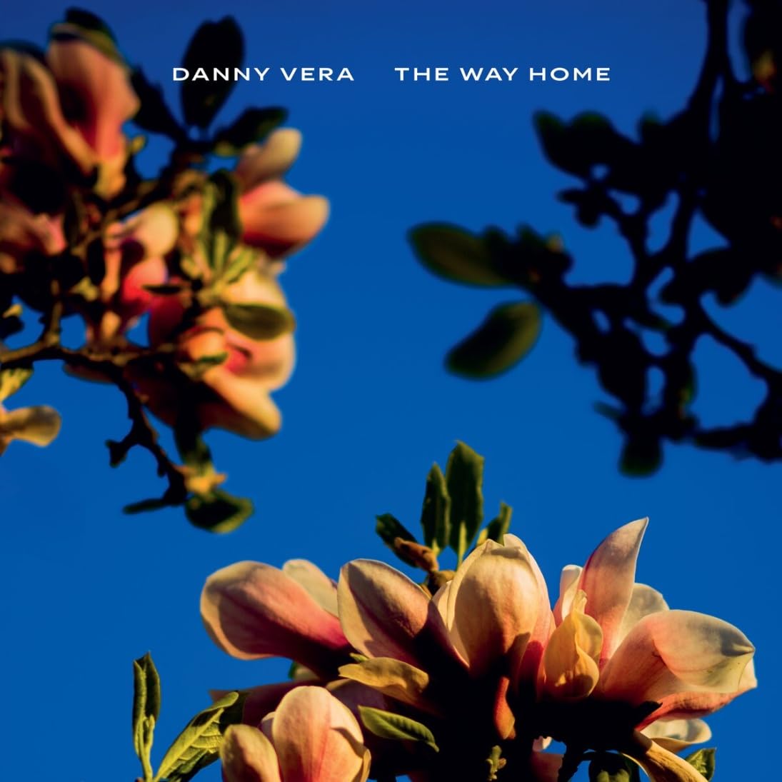 Danny Vera Vinyl LP The Way Home