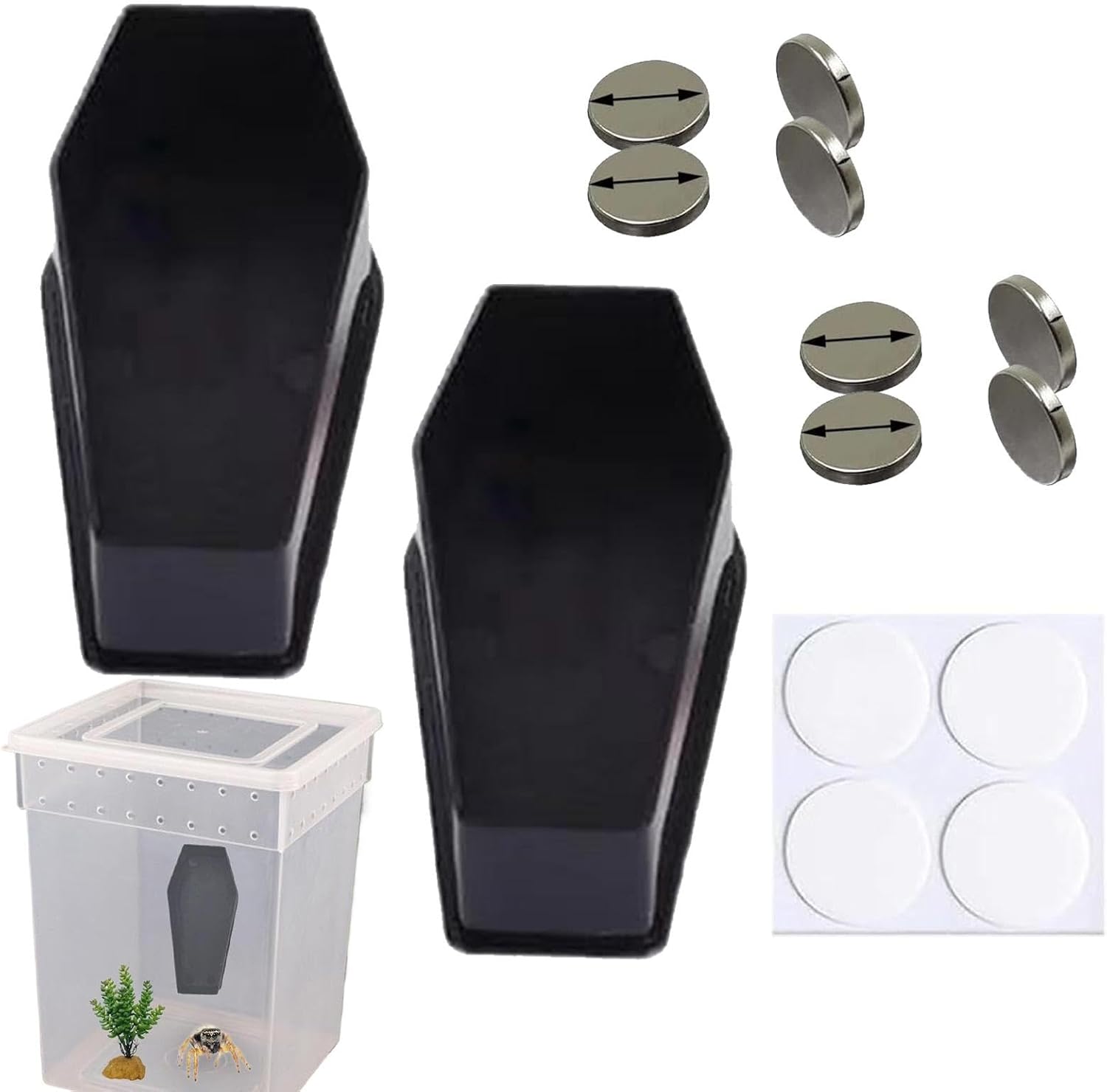 Habitat for Jumping Spiders, Jumping Spider Enclosure | 2X Jumping ...