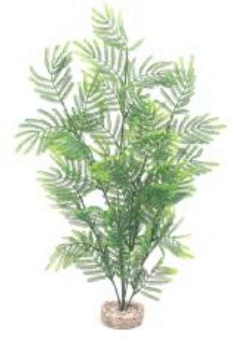 Sydeco Natural Plants Feather Fern Maxi Aquarium Plant - Assorted Colours - 46Cm