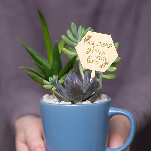 Miniatura 7 de AnyDesign 30 etiquetas de plantas hexagonales de madera con estacas para plantas de jardín para semillas, macetas, regalo de agradecimiento para