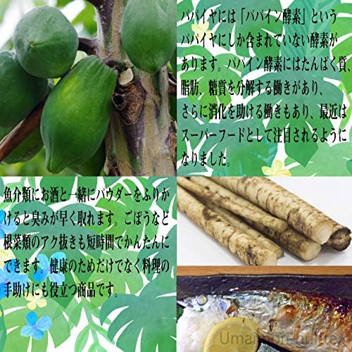 人気トレンド 渡具知農園 沖縄やんばる産 まるごとパパイヤパウダー 80g 16p 沖縄 土産 人気 健康食品 自家農園栽培 青パパイヤの実使用 ポリフェノー クリアランスバーゲン 期間限定開催 Www Caparivaar In