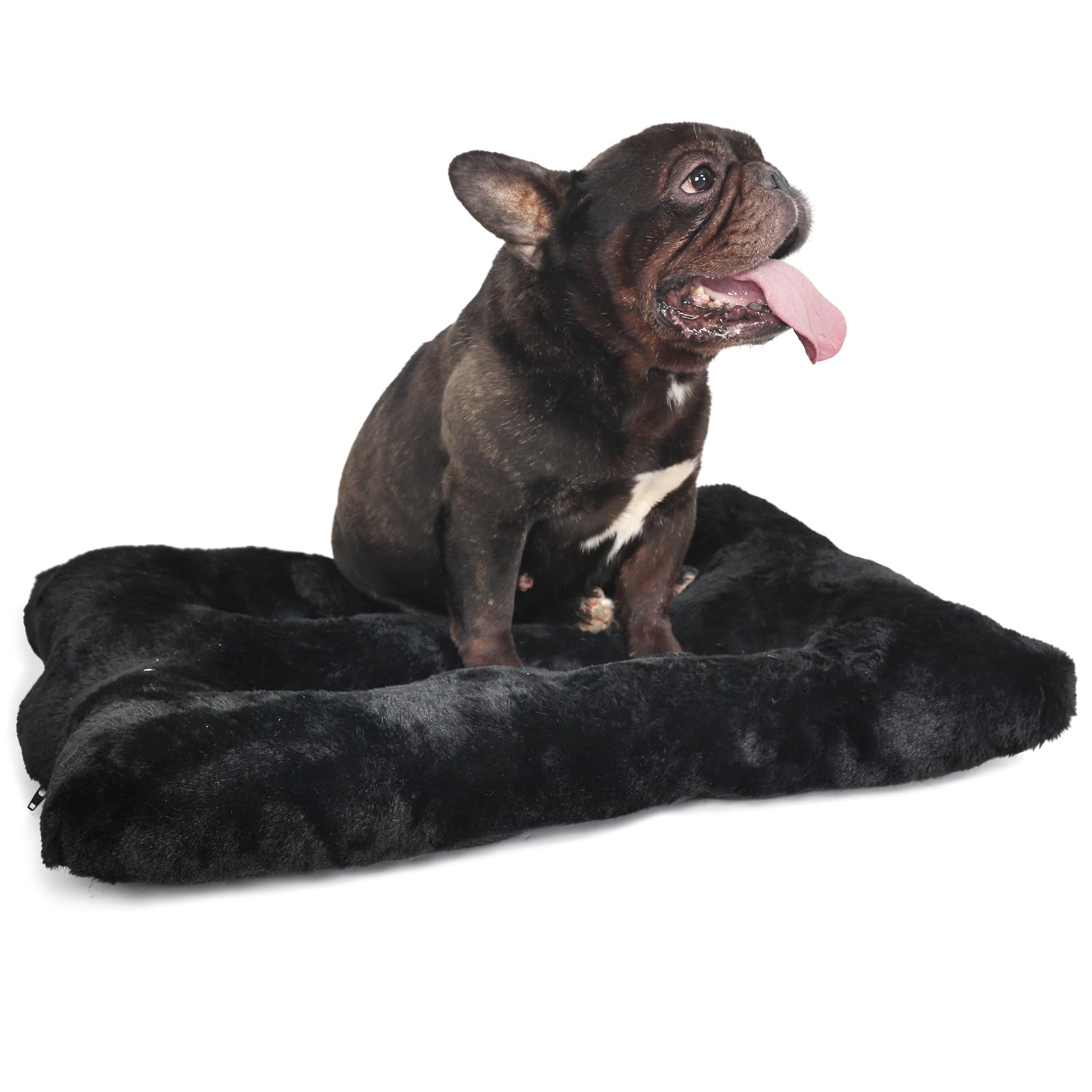 Hundekäfigbett Waschbar – 61 X 45 Cm, Weich, Rutschfest, Für Kleine Hunde Bis 11 Kg, Dunkelgrau