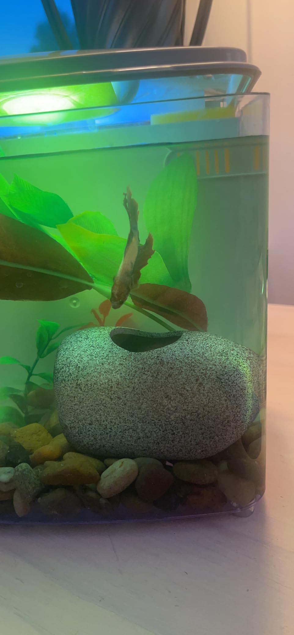 Photo inspiration: Visual Reference: 2 Mo Finance Aquarium Decorations Cave Betta Fish Tank Accessories