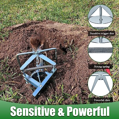 Mole Traps That Kill Best, Scissor Mole Traps for Lawns Vole Traps Outdoor Use, Mole Trap Easy to Set Galvanized Steel Reusable Quick Capture Gopher